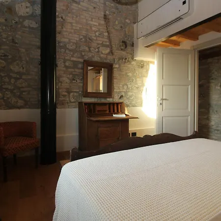 Iolive Tuscany Leccio Del Corno Santa Luce